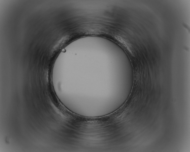 X0000093150686200709261017