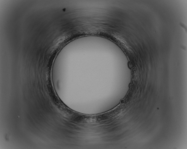 X0000093150687200709261017