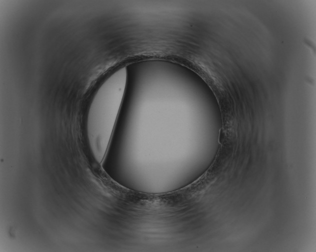 X0000093150688200709261016