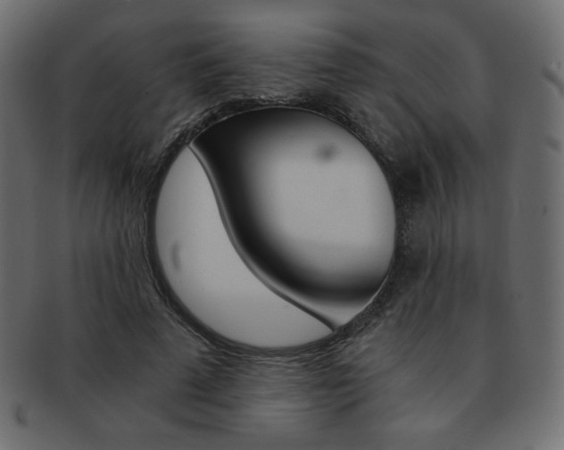 X0000093150689200709261016