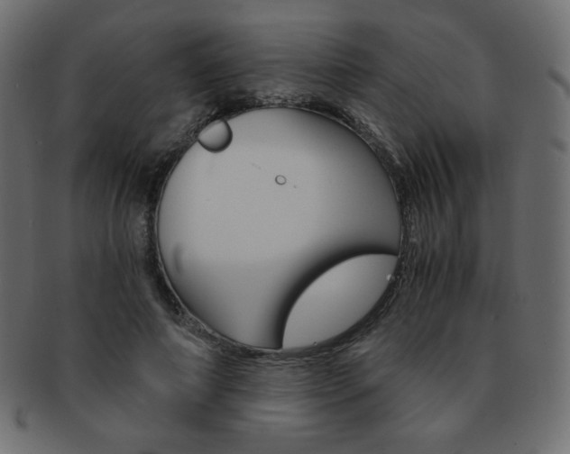 X0000093150690200709261016