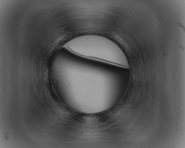 X0000093150693200709261016
