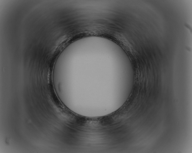 X0000093150694200709261016