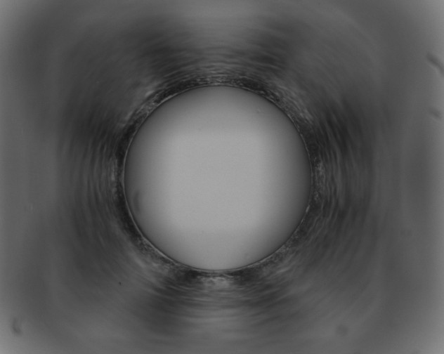 X0000093150698200709261016