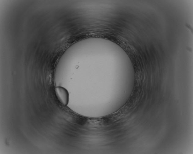 X0000093150703200709261016