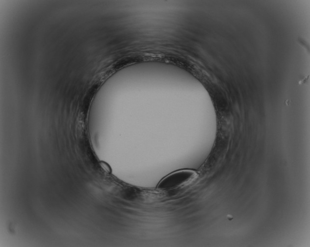 X0000093150707200709261016