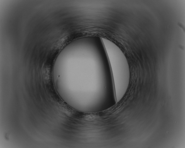 X0000093150708200709261016