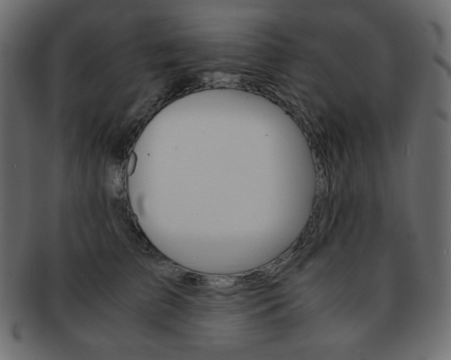 X0000093150709200709261016