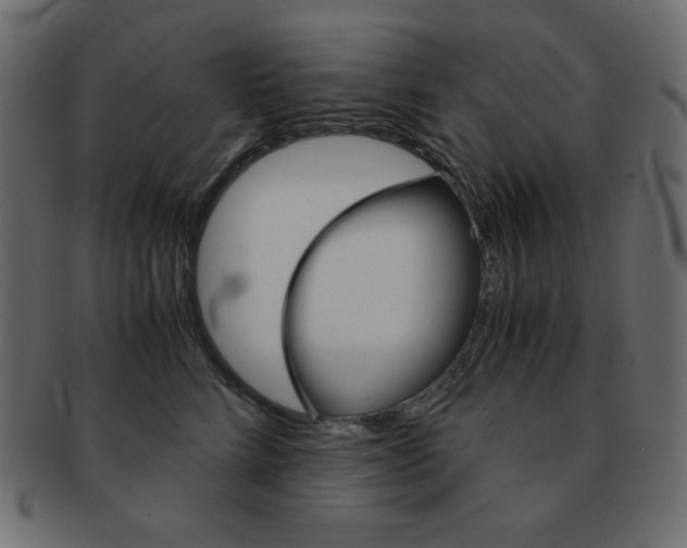 X0000093150712200709261016