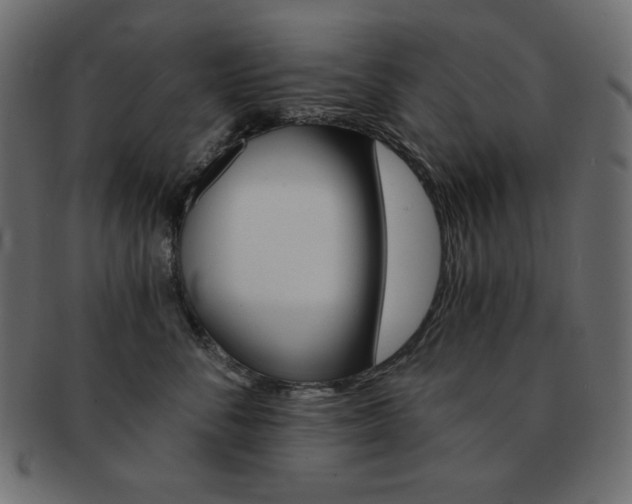 X0000093150716200709261016