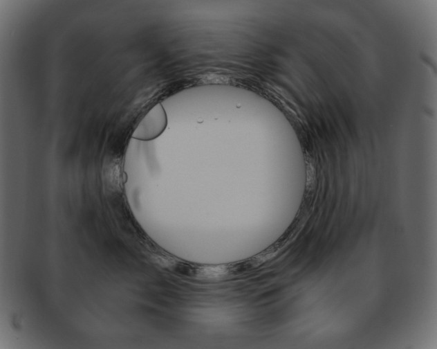 X0000093150717200709261016