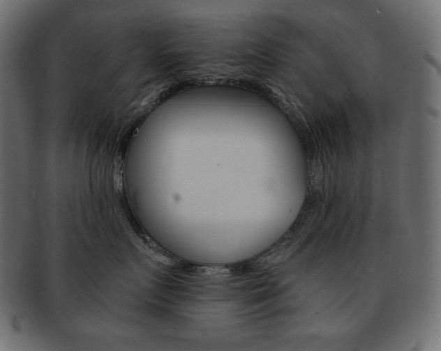 X0000093150719200709261016