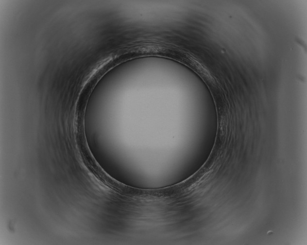 X0000093150722200709261016