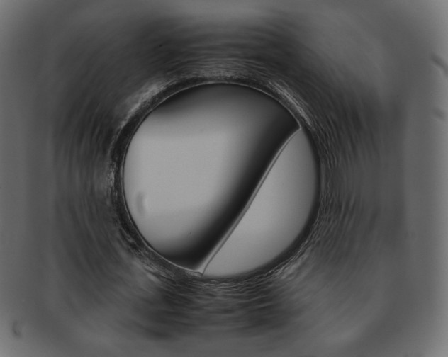 X0000093150723200709261016
