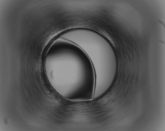 X0000093150724200709261016