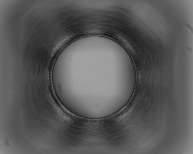 X0000093150725200709261016