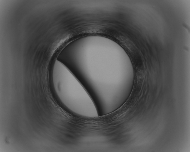 X0000093150727200709261016