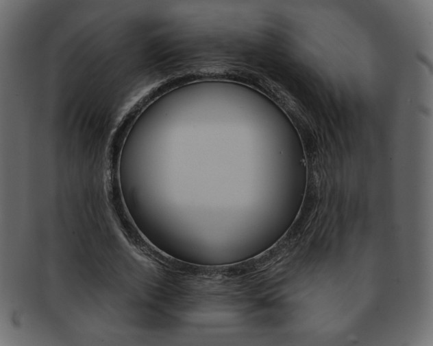 X0000093150728200709261016