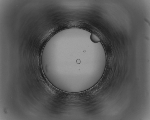 X0000093150729200709261016
