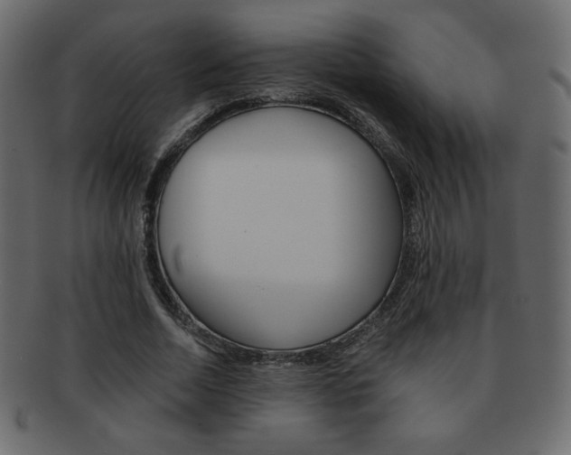X0000093150730200709261016
