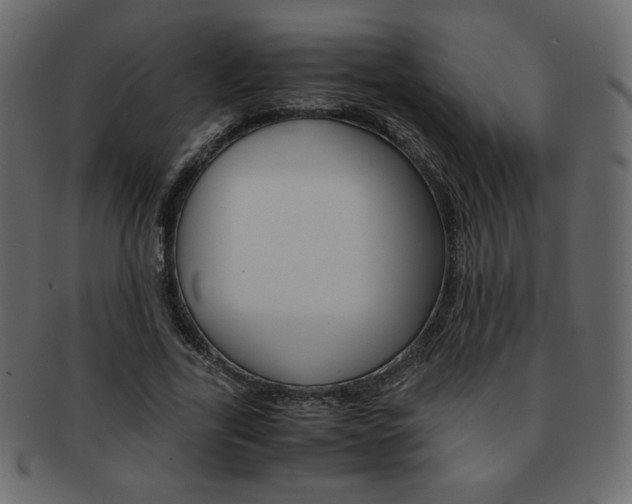 X0000093150731200709261016