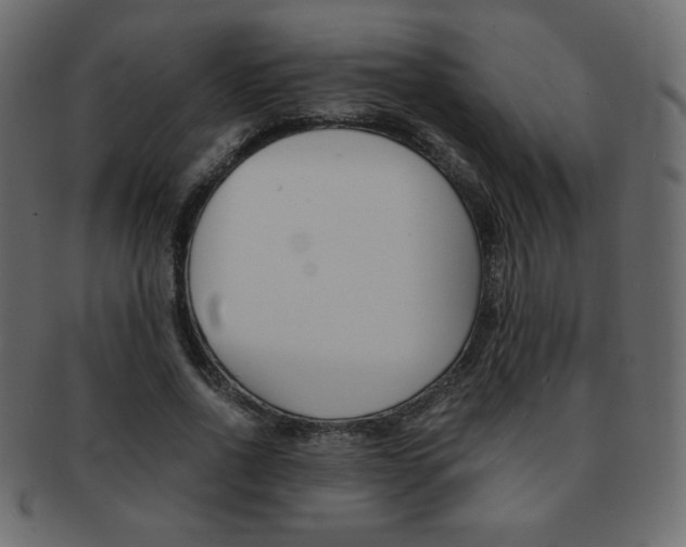 X0000093150734200709261016