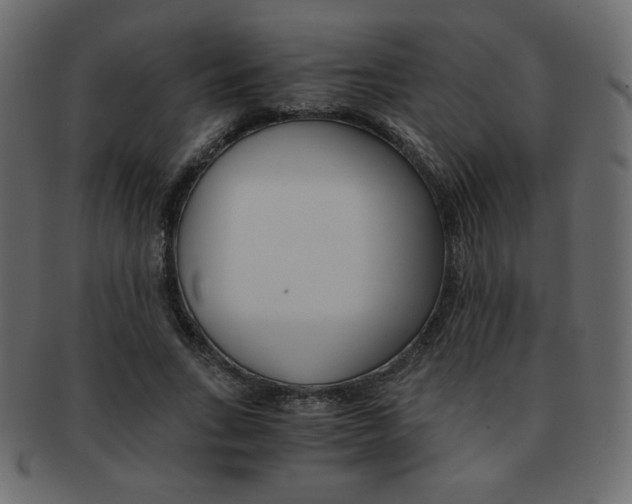 X0000093150735200709261016