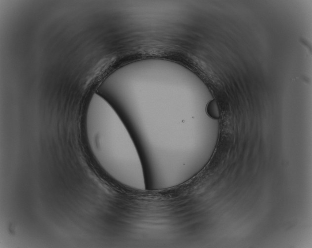 X0000093150738200709261016