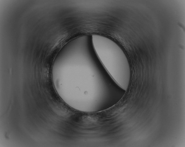 X0000093150739200709261016