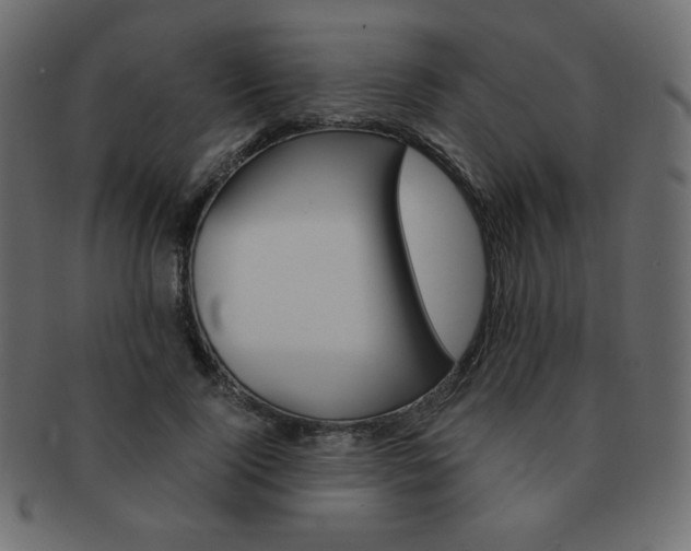 X0000093150740200709261016