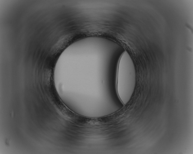 X0000093150742200709261016