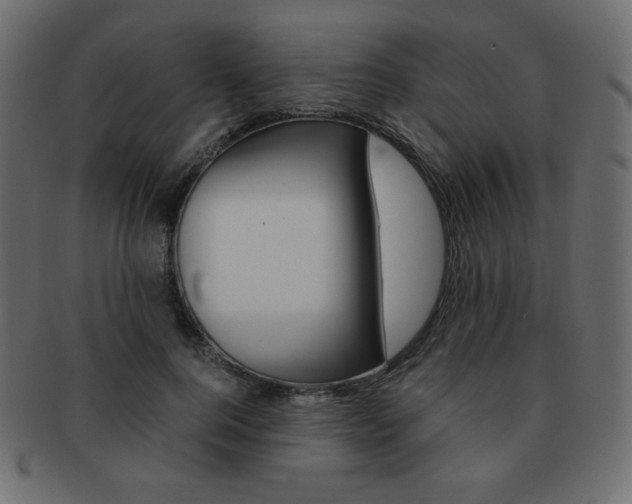 X0000093150744200709261016