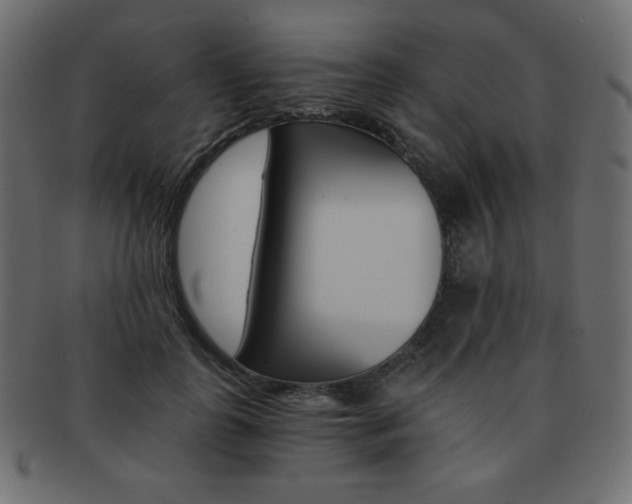 X0000093150747200709261016