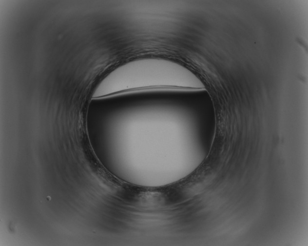 X0000093150748200709261016