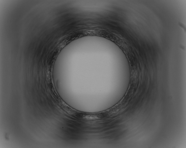 X0000093150749200709261016