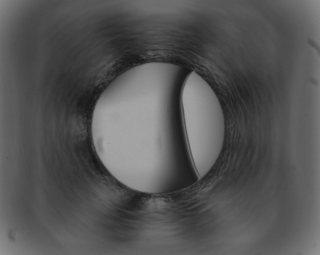 X0000093150751200709261016