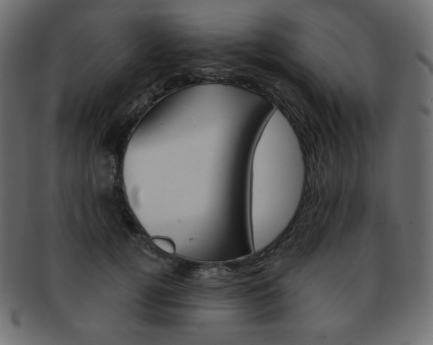 X0000093150752200709261016