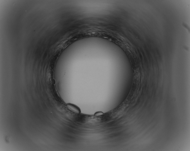 X0000093150754200709261016