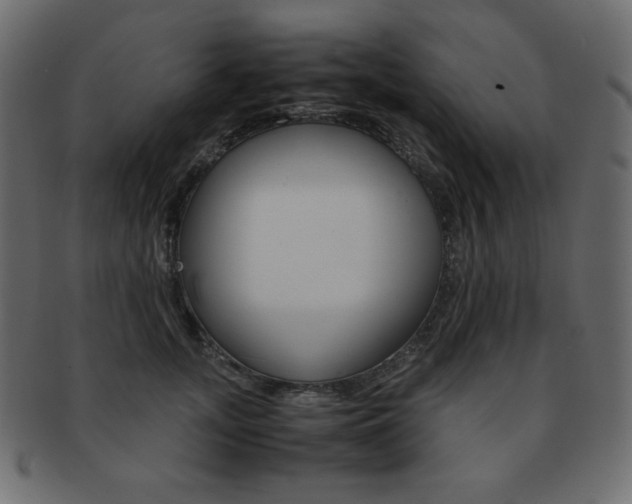 X0000093150755200709261016