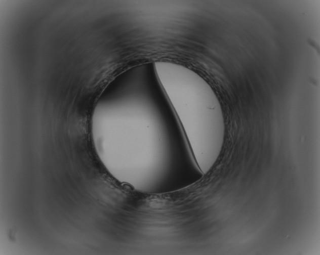 X0000093150756200709261016