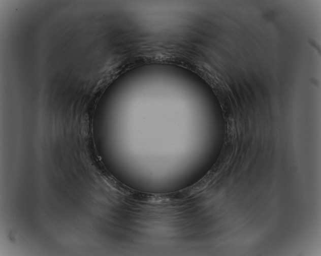 X0000093150760200709261016
