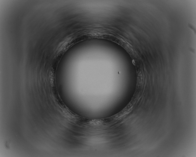 X0000093150762200709261016