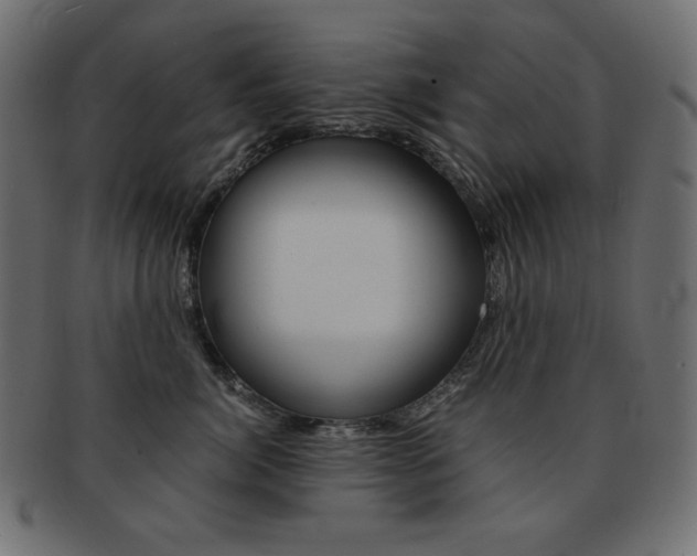 X0000093150764200709261016