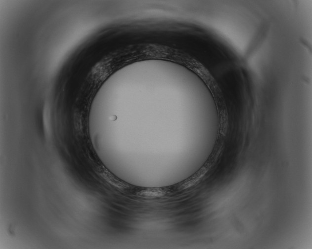 X0000093150765200709261016