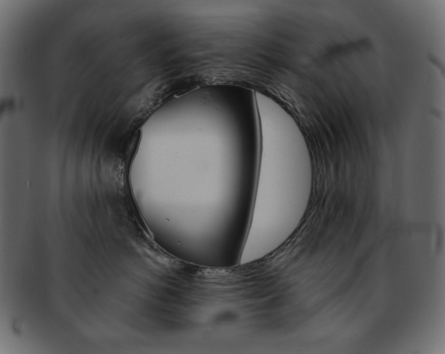 X0000093150766200709261016