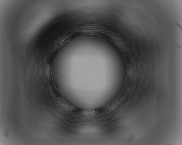 X0000093150767200709261016