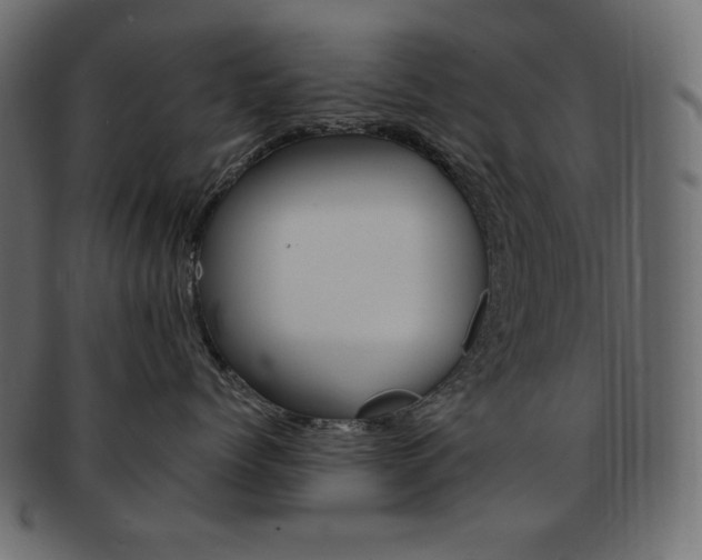 X0000093150768200709261016