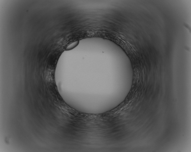 X0000093150770200709261016