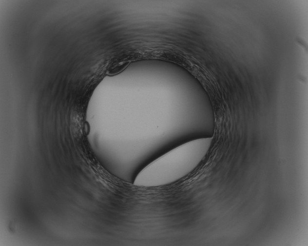 X0000093150772200709261015