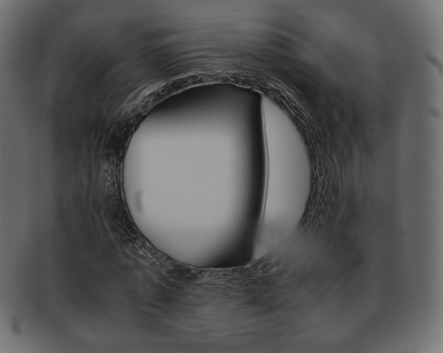 X0000093150773200709261015